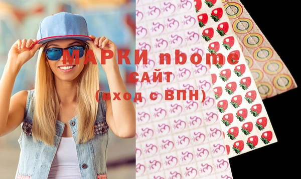 индика Цимлянск